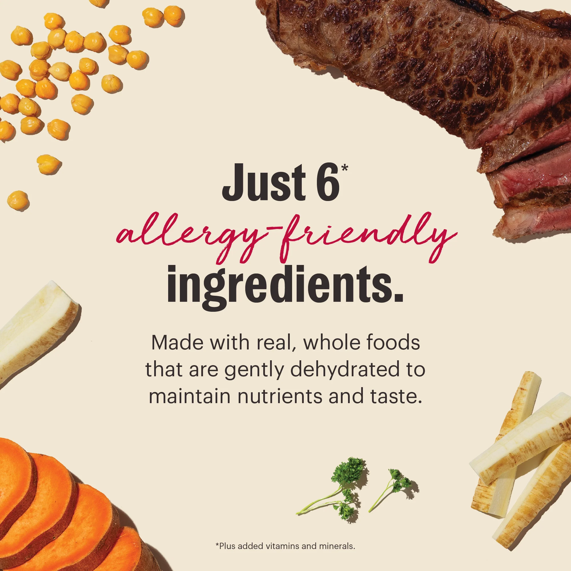 Wholemade Limited Ingredient Beef - Image 3