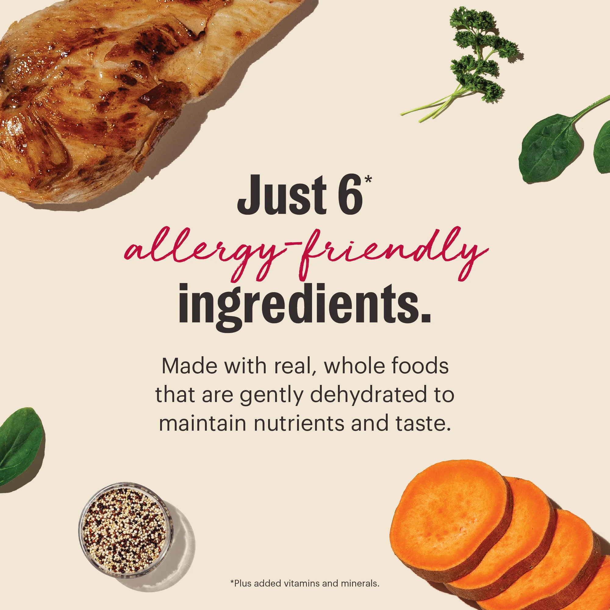 Wholemade Limited Ingredient Chicken - Image 3