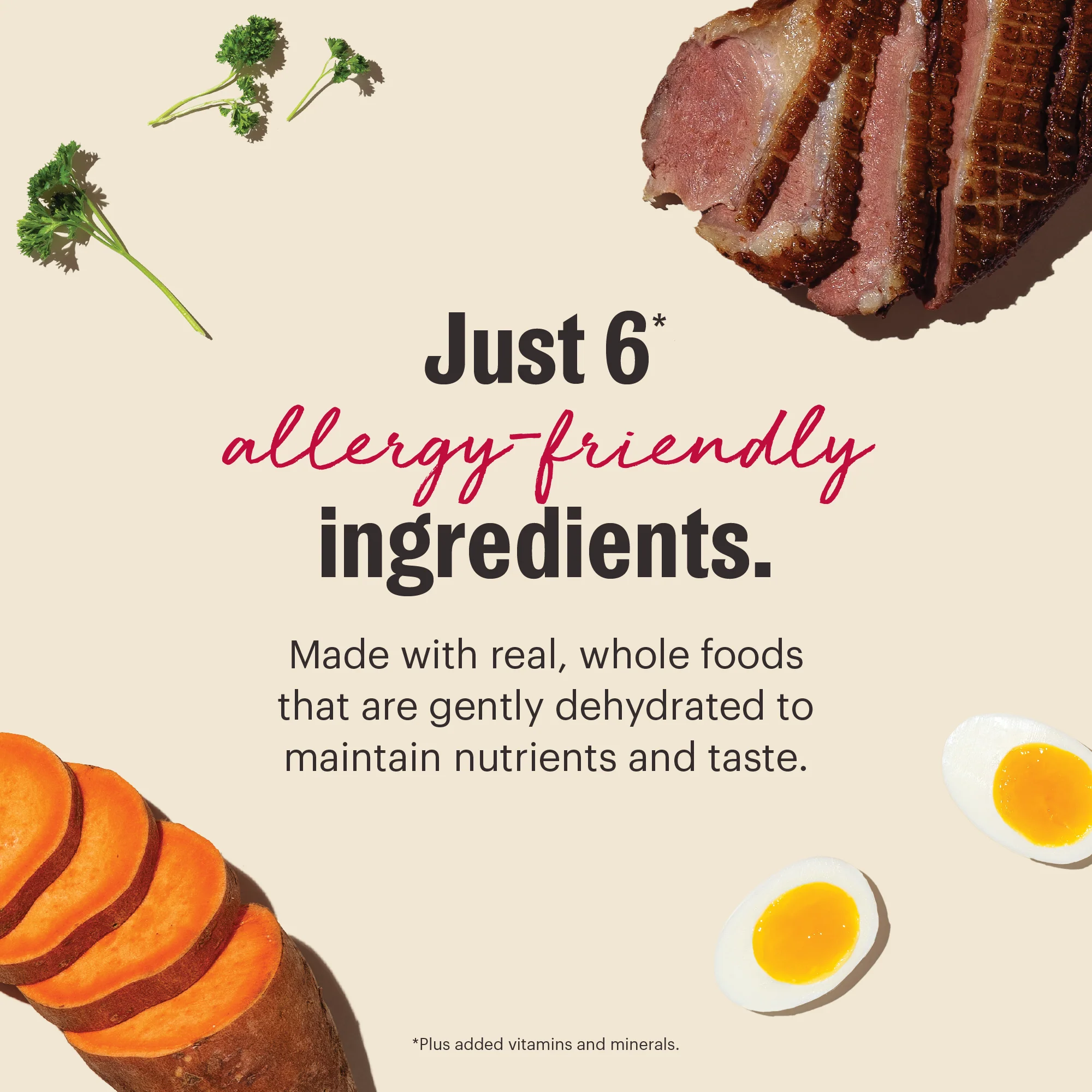 Wholemade Limited Ingredient Duck & Sweet Potato - Image 3