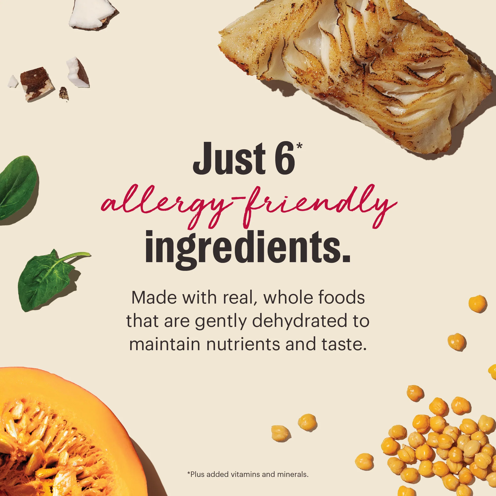 Wholemade Limited Ingredient Fish - Image 3