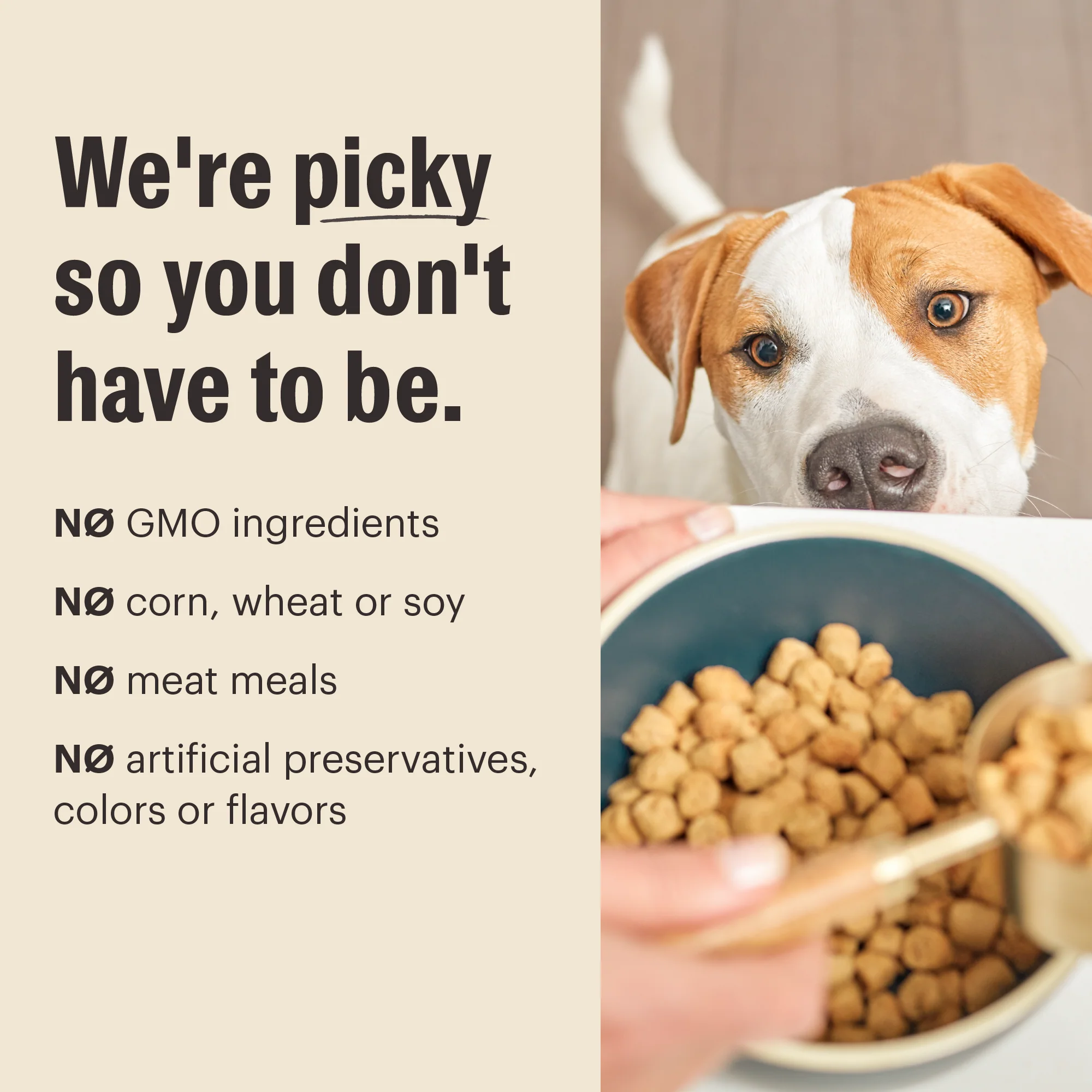Grain Free Beef Whole Food Clusters - Image 6