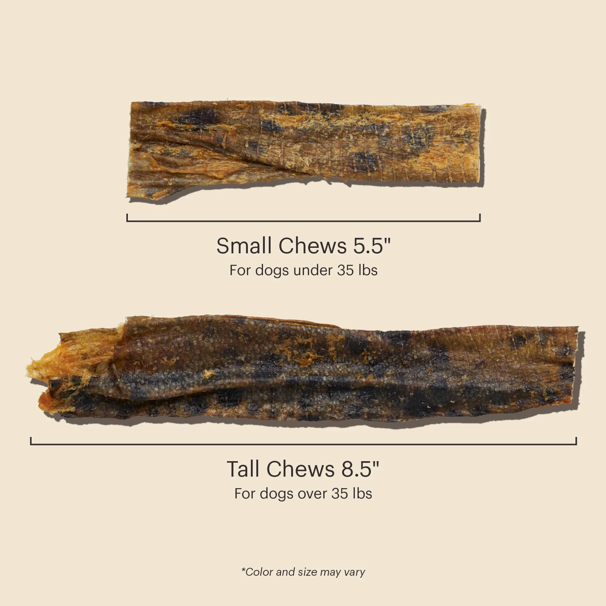 Ocean Chews Hearty Wolffish Skins Beams - Image 4