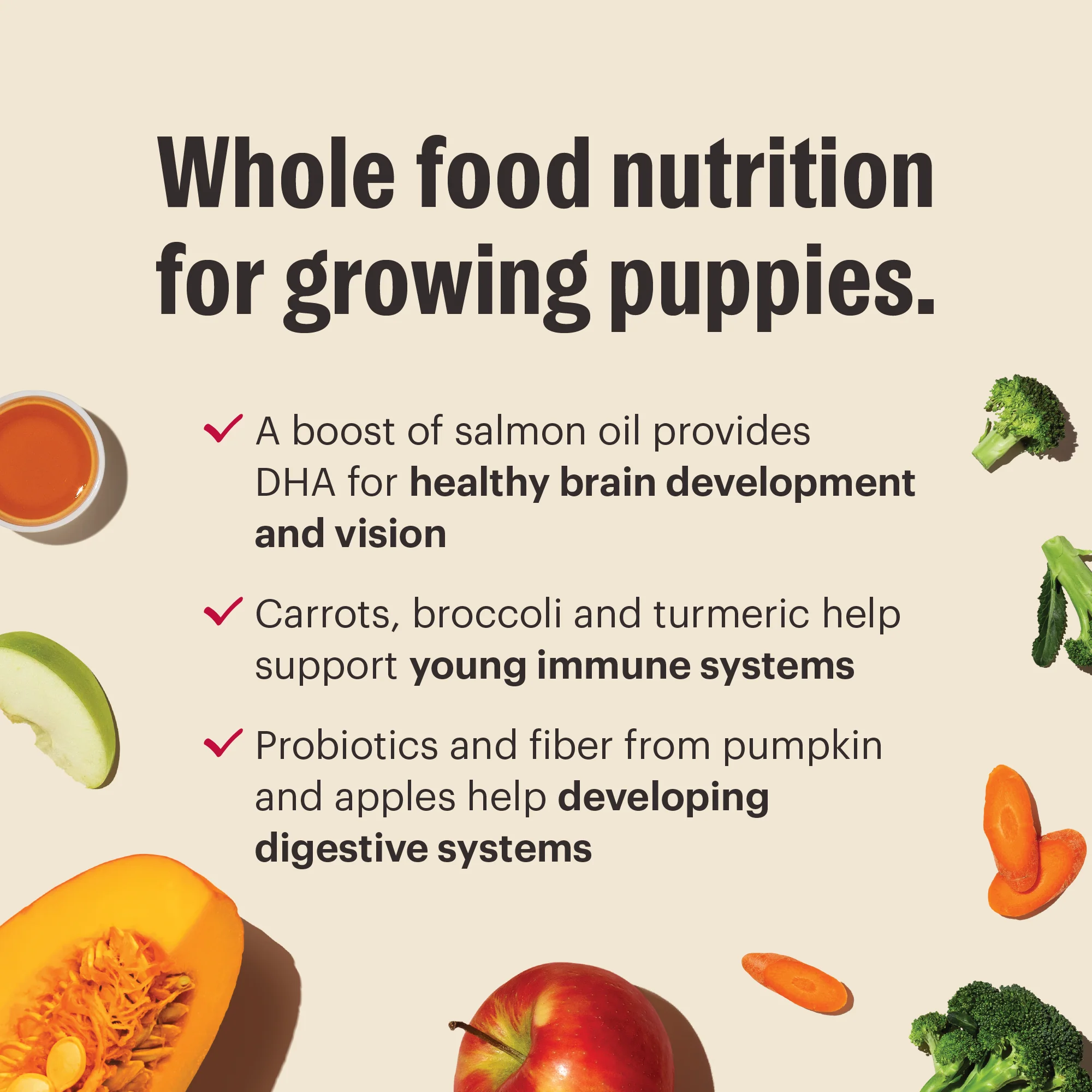 Puppy Essentials Bundle - Image 3