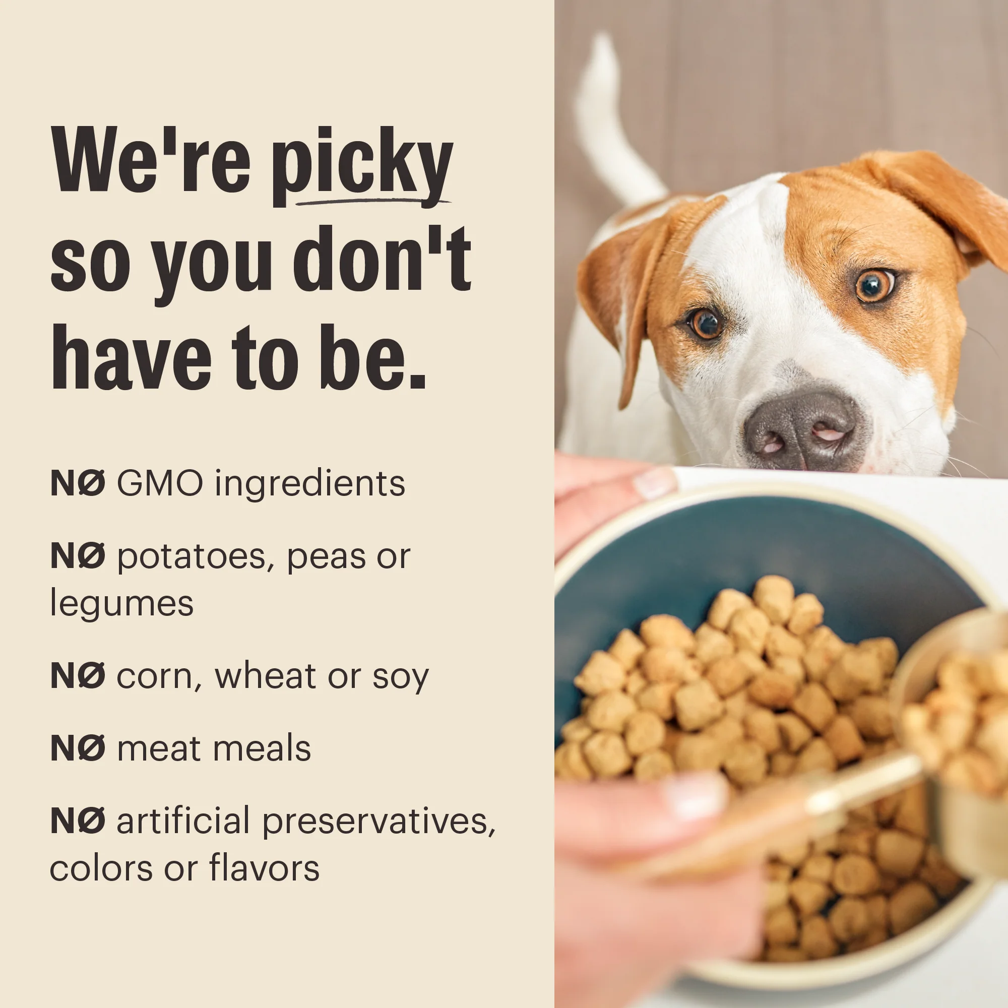 Whole Grain Chicken Whole Food Clusters for Small Breeds - Image 6