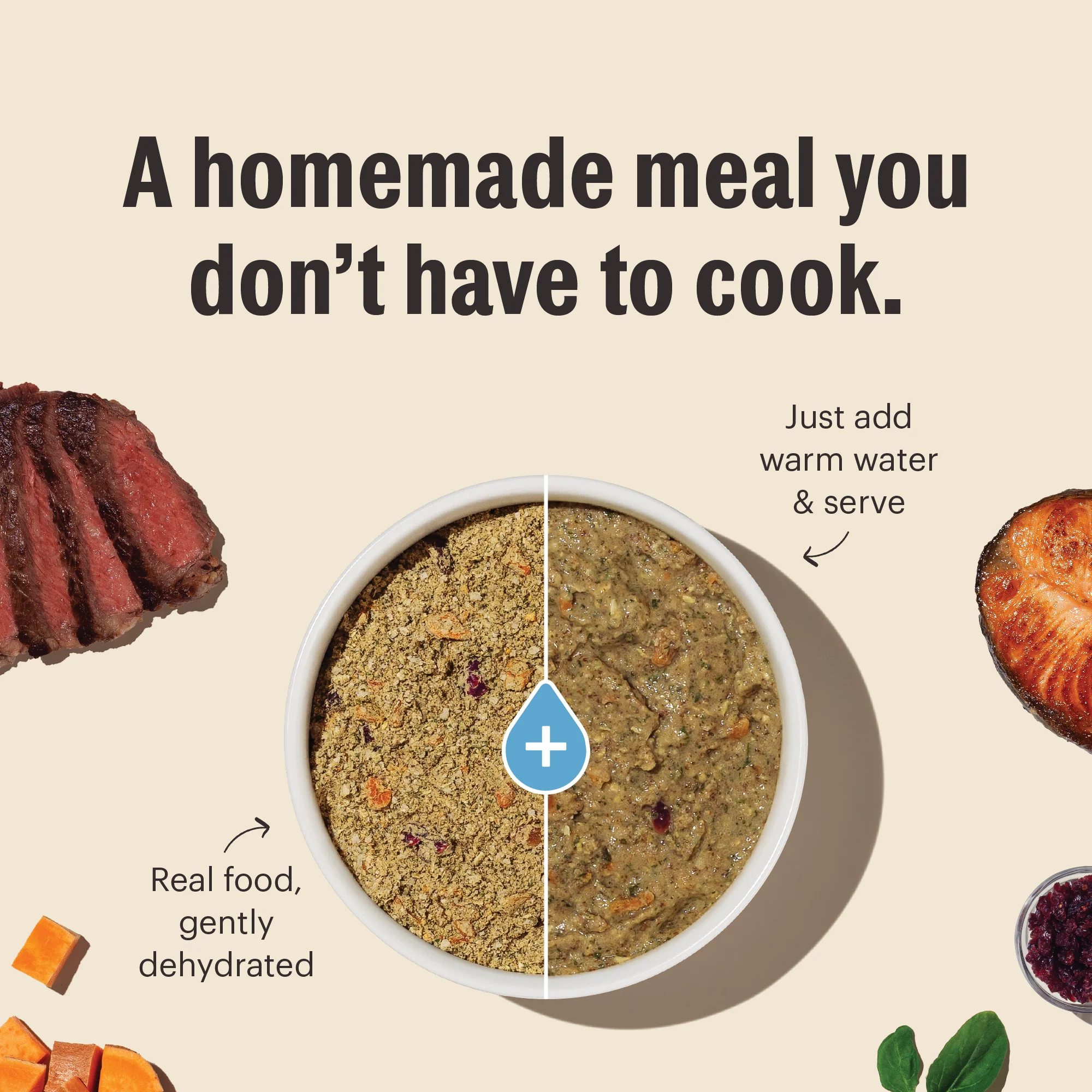 Wholemade Whole Grain Chicken & Salmon Dehydrated Puppy Dog Food - Image 3