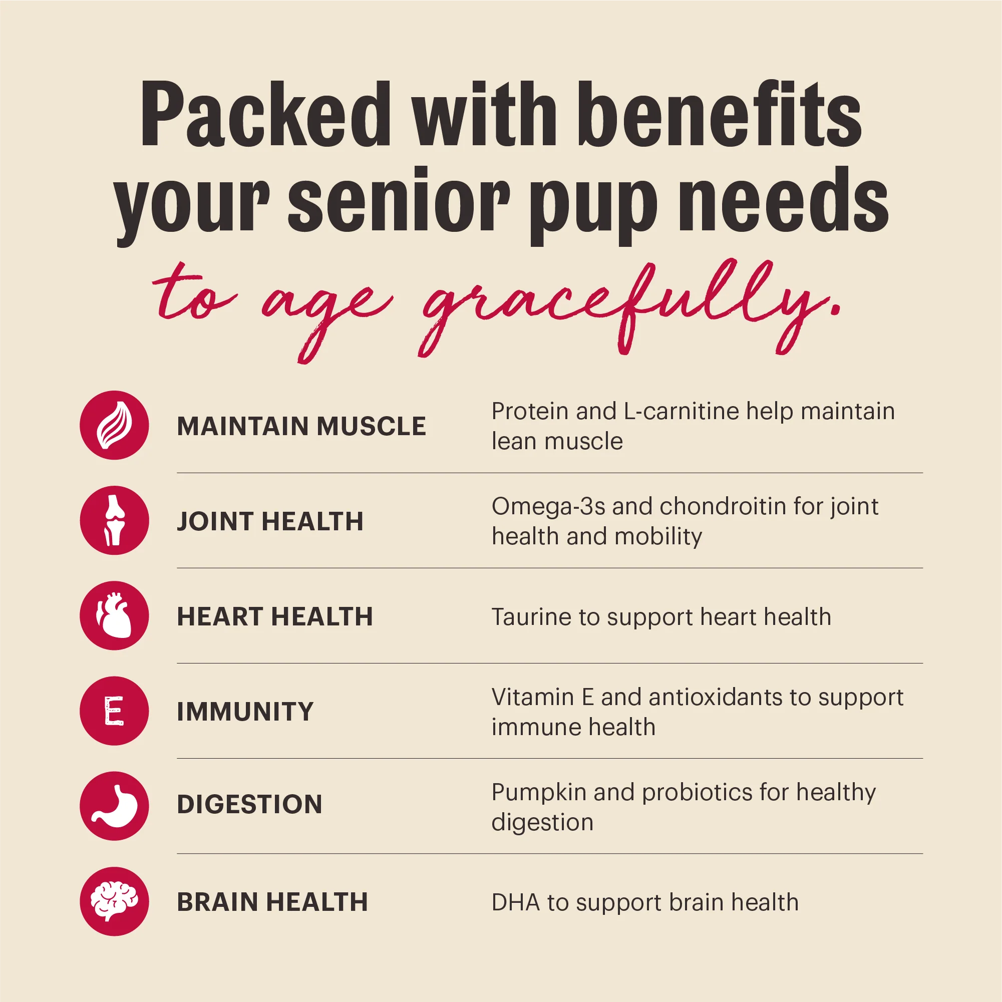 Wholemade Whole Grain Beef, Oat & Salmon Dehydrated Senior Dog Food - Image 4